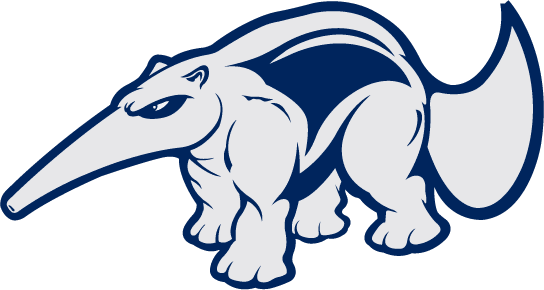 California-Irvine Anteaters 1998-2008 Alternate Logo 02 decal sticker